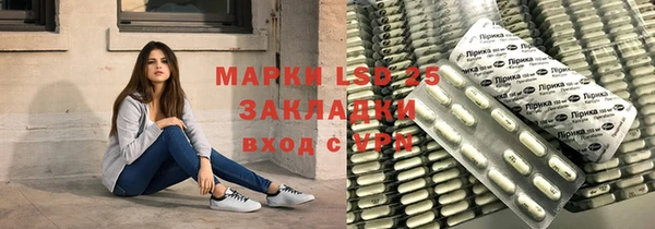 ГАЛЛЮЦИНОГЕННЫЕ ГРИБЫ Алексин
