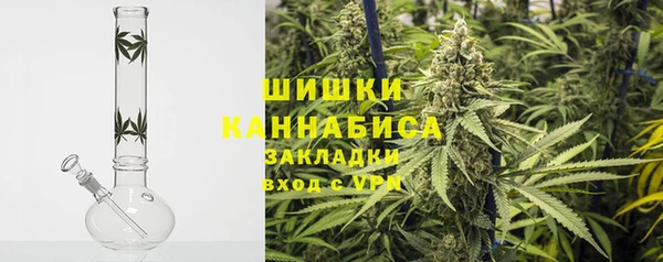 ГАЛЛЮЦИНОГЕННЫЕ ГРИБЫ Алексин