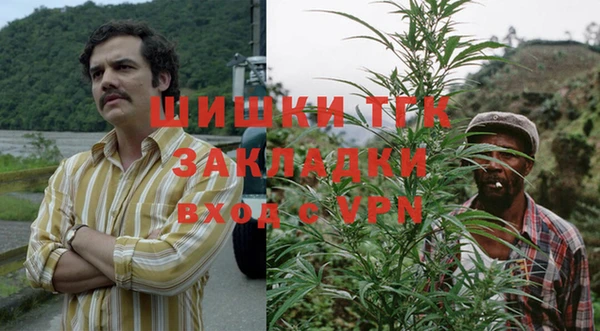ГАЛЛЮЦИНОГЕННЫЕ ГРИБЫ Алексин