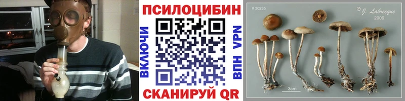 ссылка на мегу сайт  Камбарка  Псилоцибиновые грибы мухоморы 