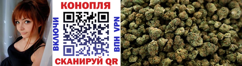 shop какой сайт  Камбарка  МАРИХУАНА семена 